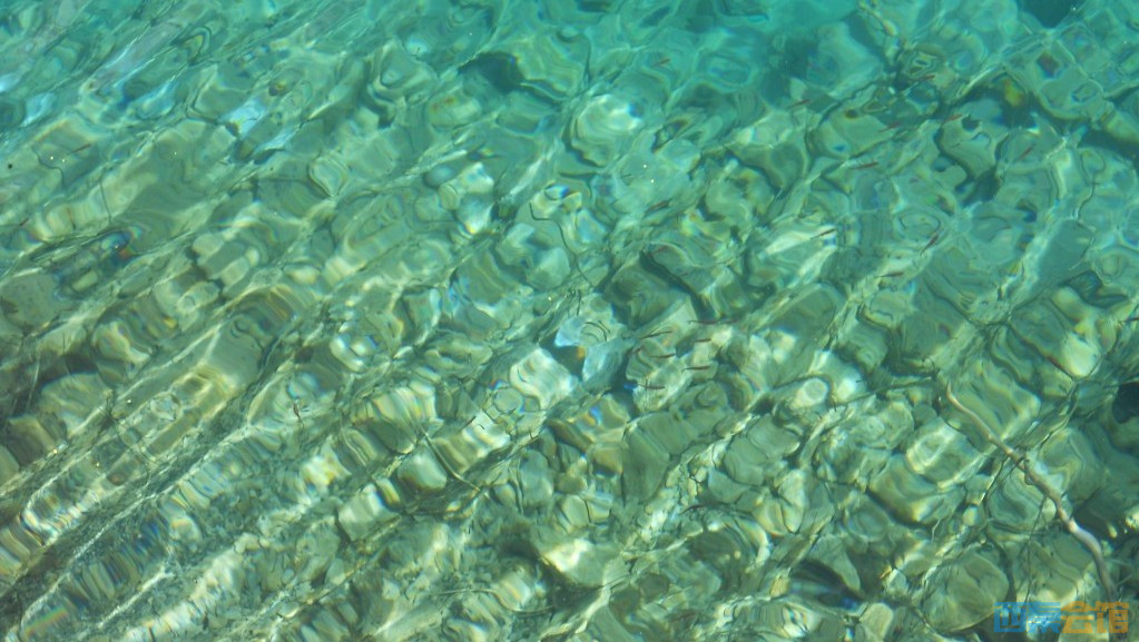 ʽDSCN6438_conew1.jpg