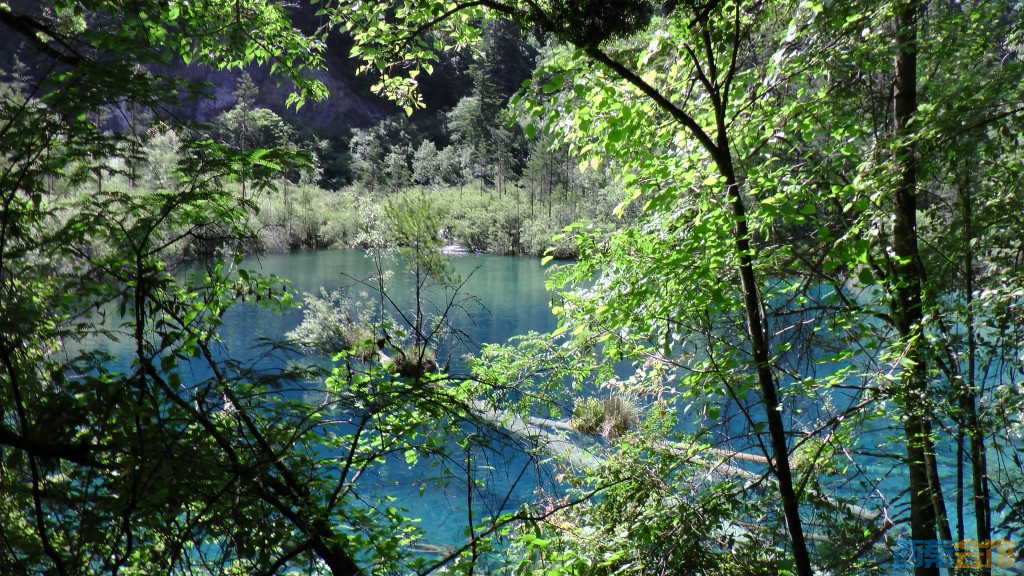 ʽS1050065.jpg