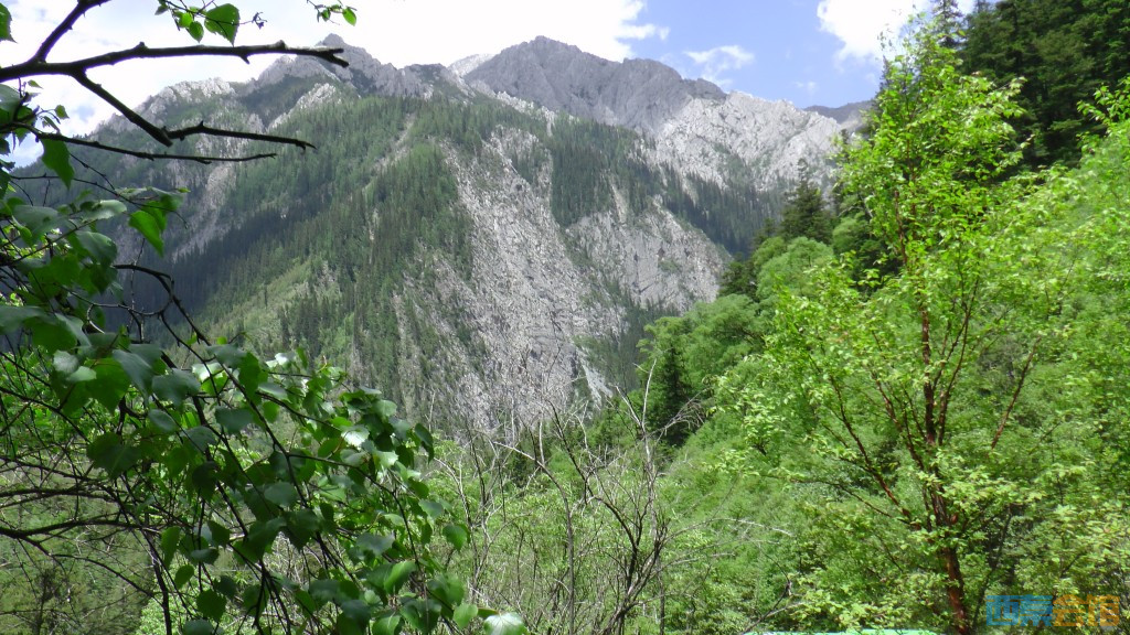 ʽS1050117.jpg