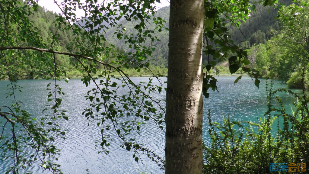 ʽS1050152.jpg