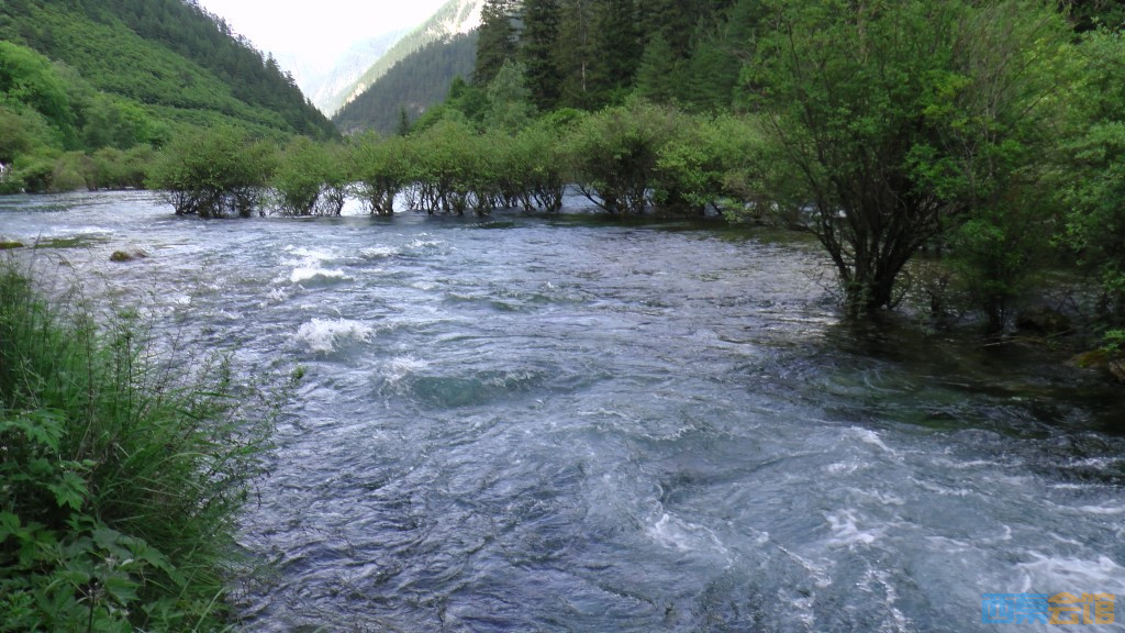 ʽS1050173.jpg