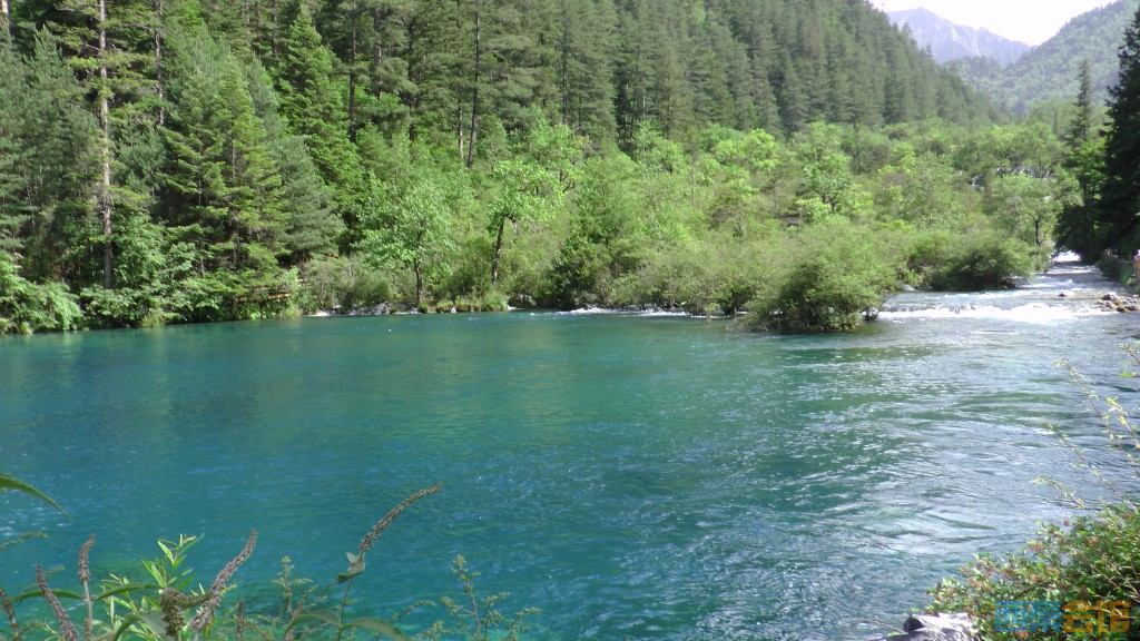 ʽS1050178.jpg