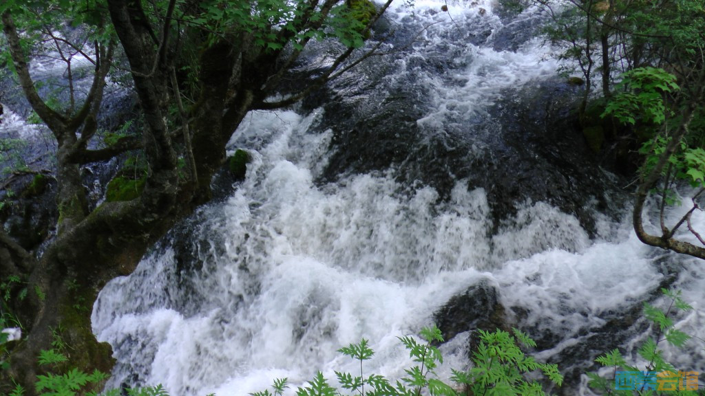 ʽS1050158.jpg