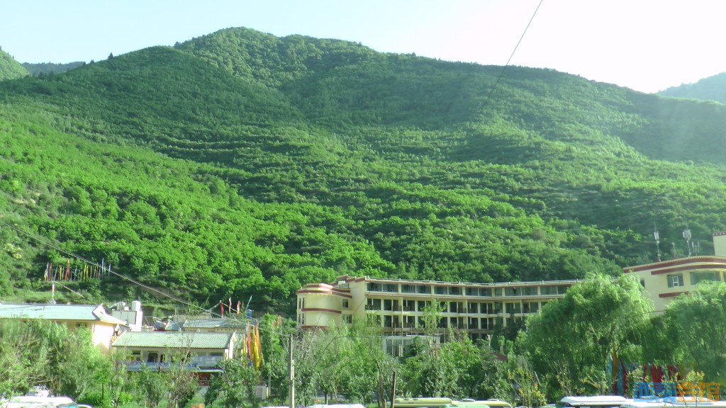 ʽS1050187.jpg