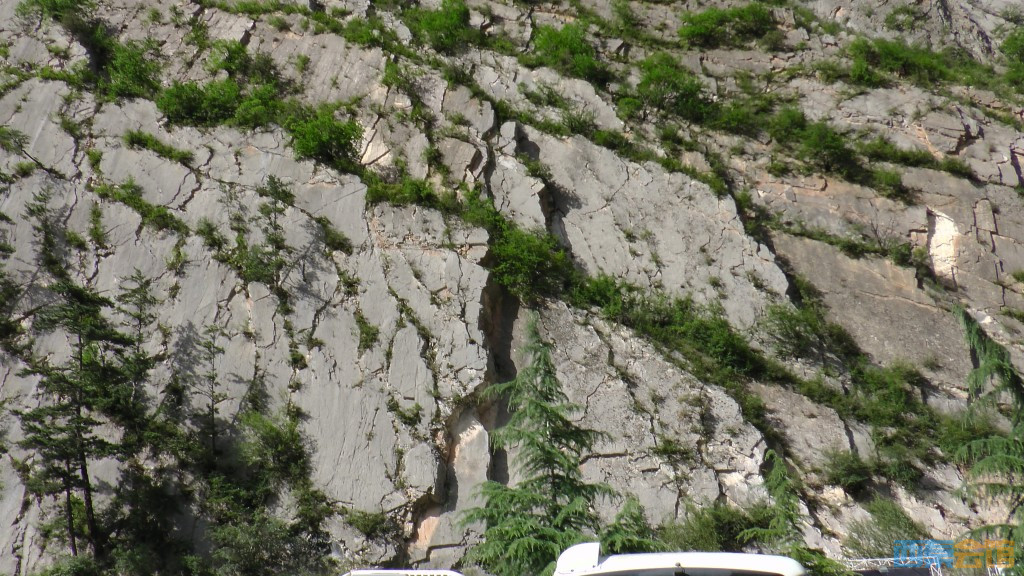 ʽS1050182.jpg