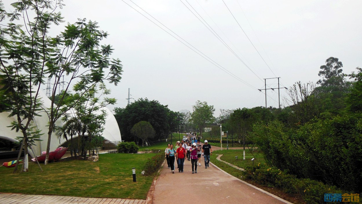 conew_dscn0596.jpg