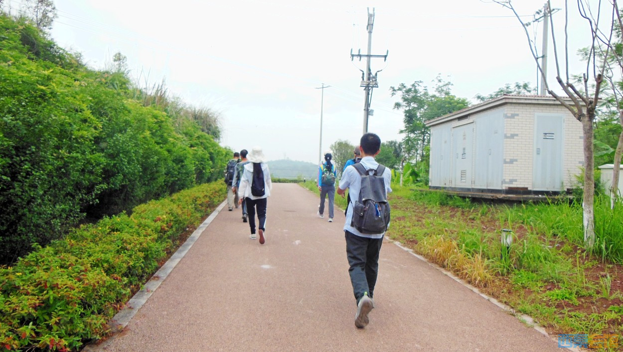 conew_dscn0597.jpg