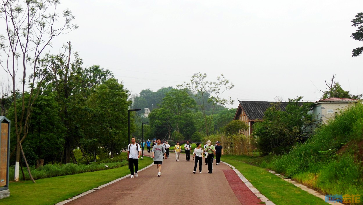 conew_dscn0604.jpg