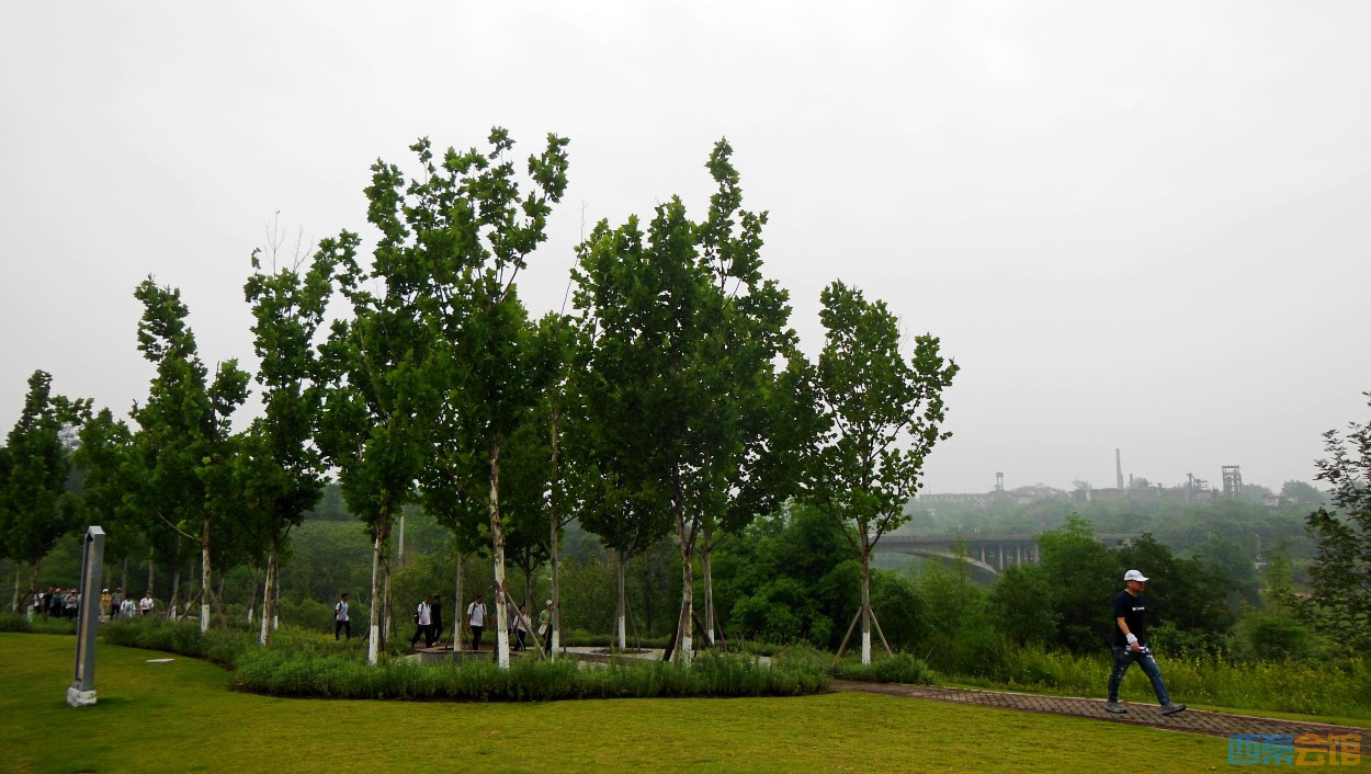 conew_dscn0606.jpg
