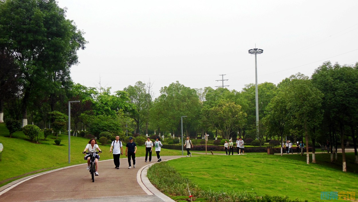 conew_dscn0613.jpg