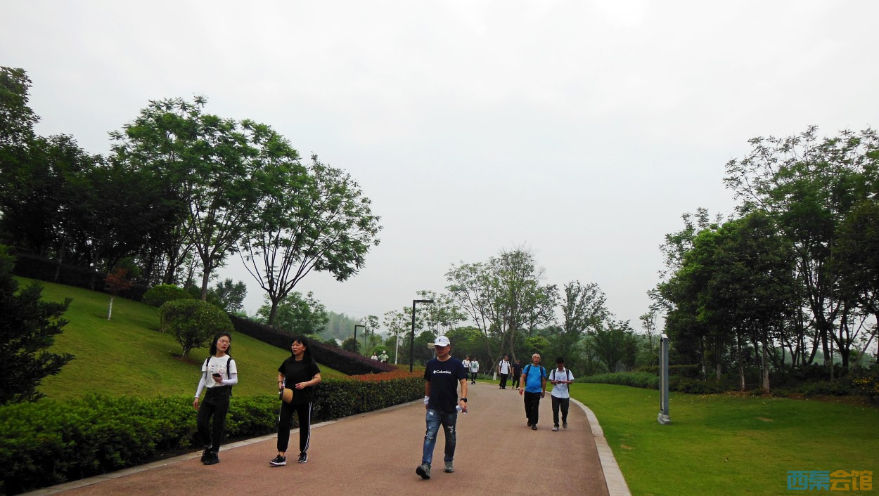 conew_dscn0609.jpg