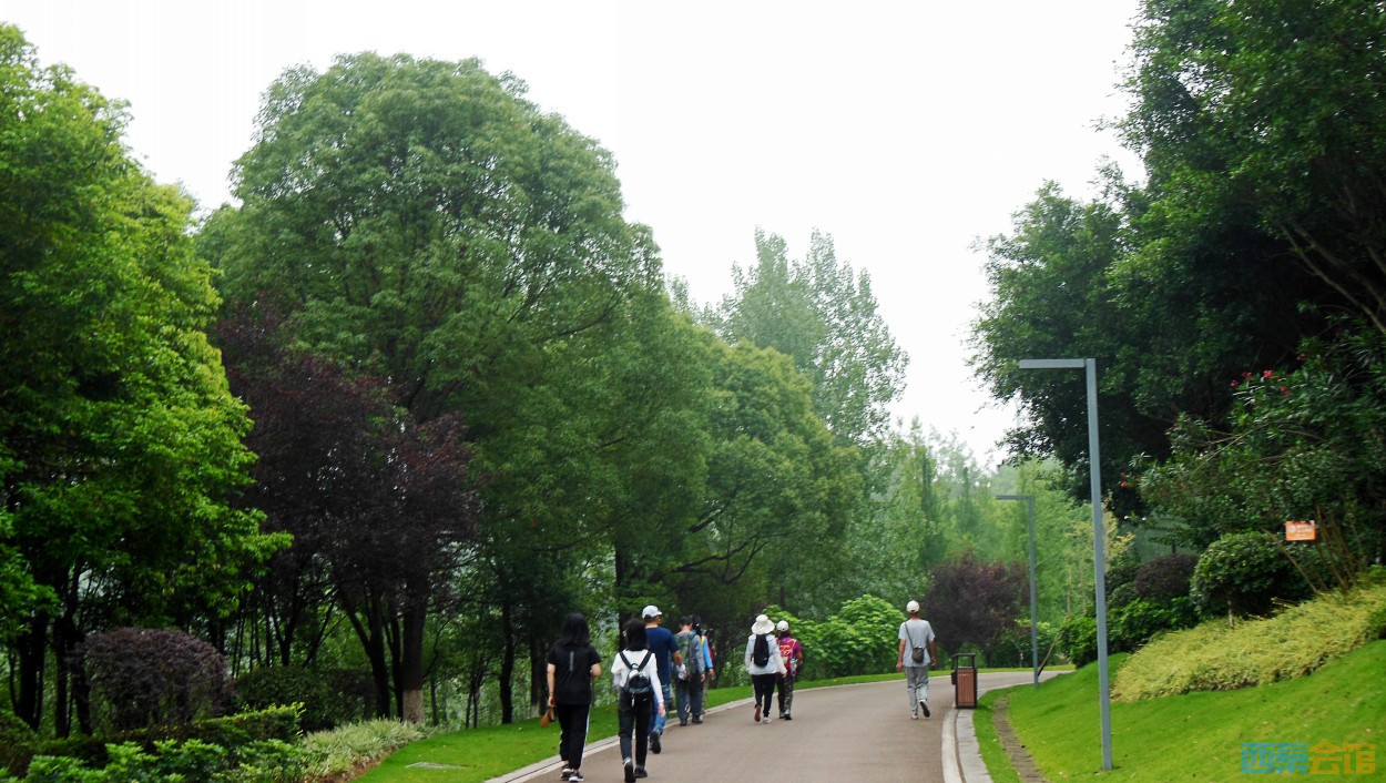 conew_dscn0614.jpg