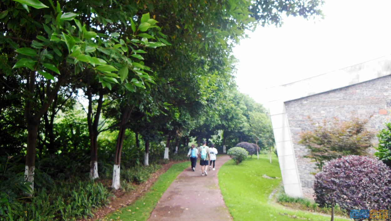 conew_dscn0615.jpg