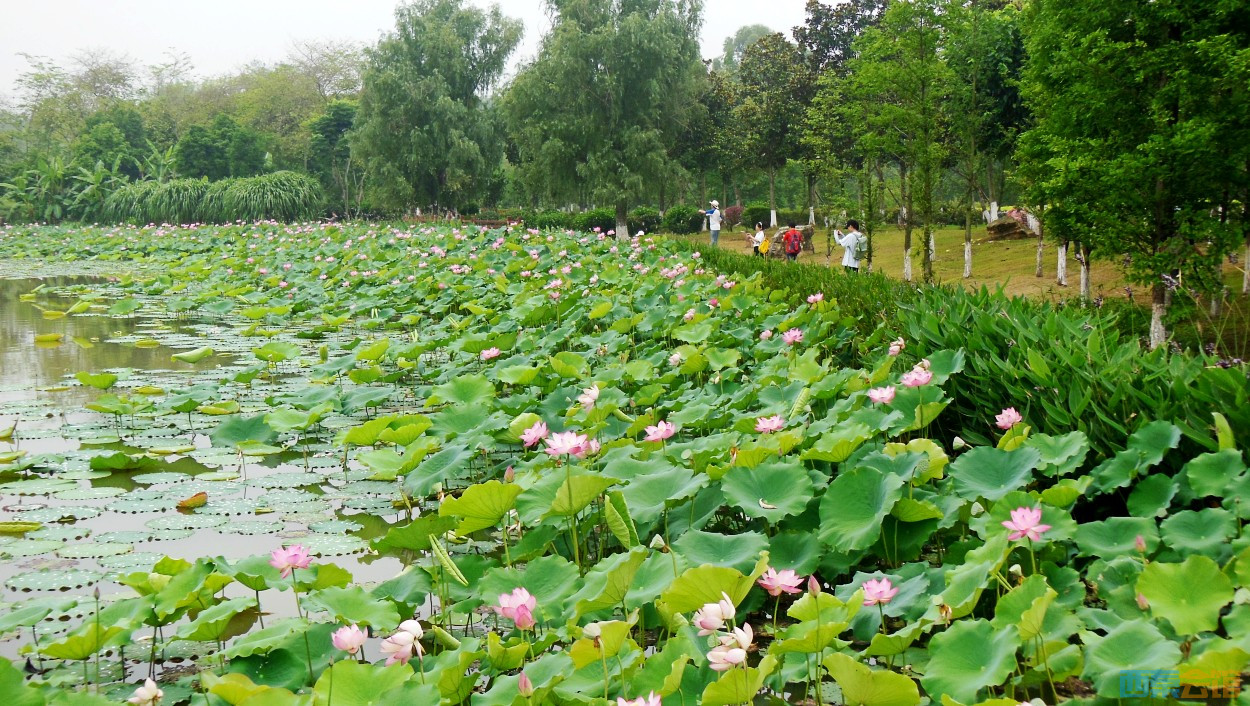 conew_dscn0636.jpg