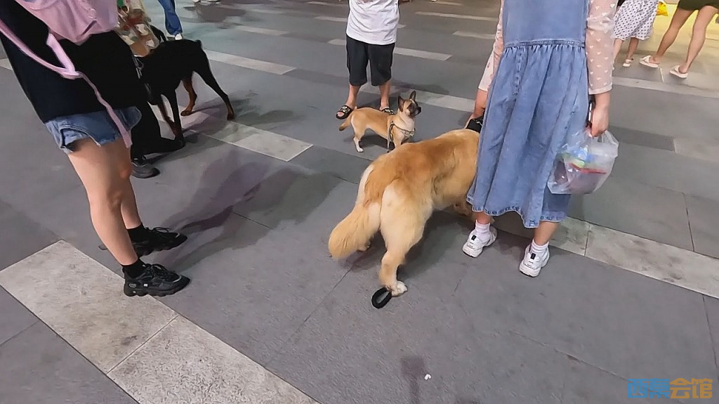 conew_qqͼ20230619010341.jpg