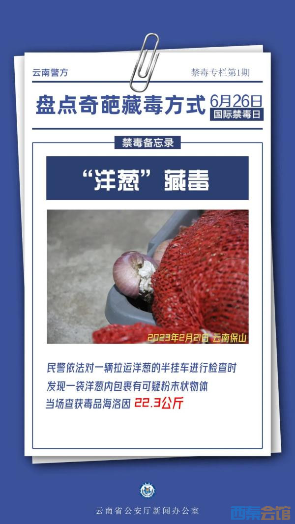 95.jpg