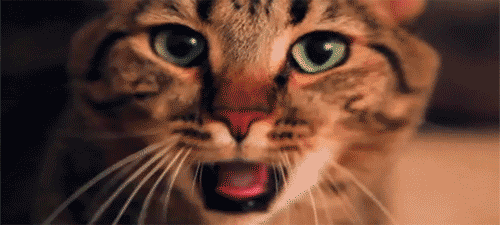 20230628144921front2_0_332895_FtaTdvu0Y08GcWRx1YOBBXwb2n-i.gif