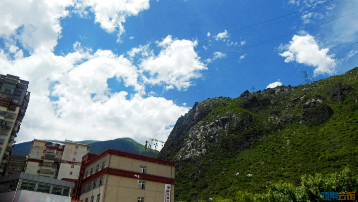 conew_dscn1029.jpg