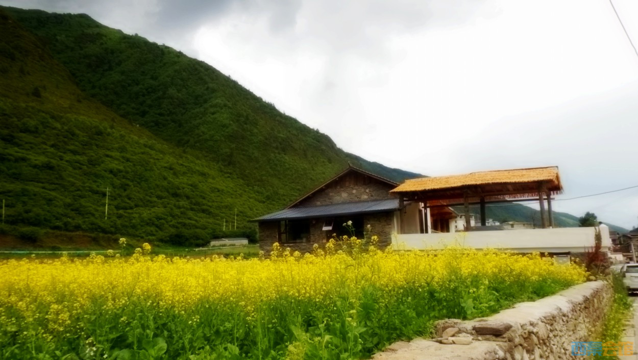conew_dscn1044.jpg