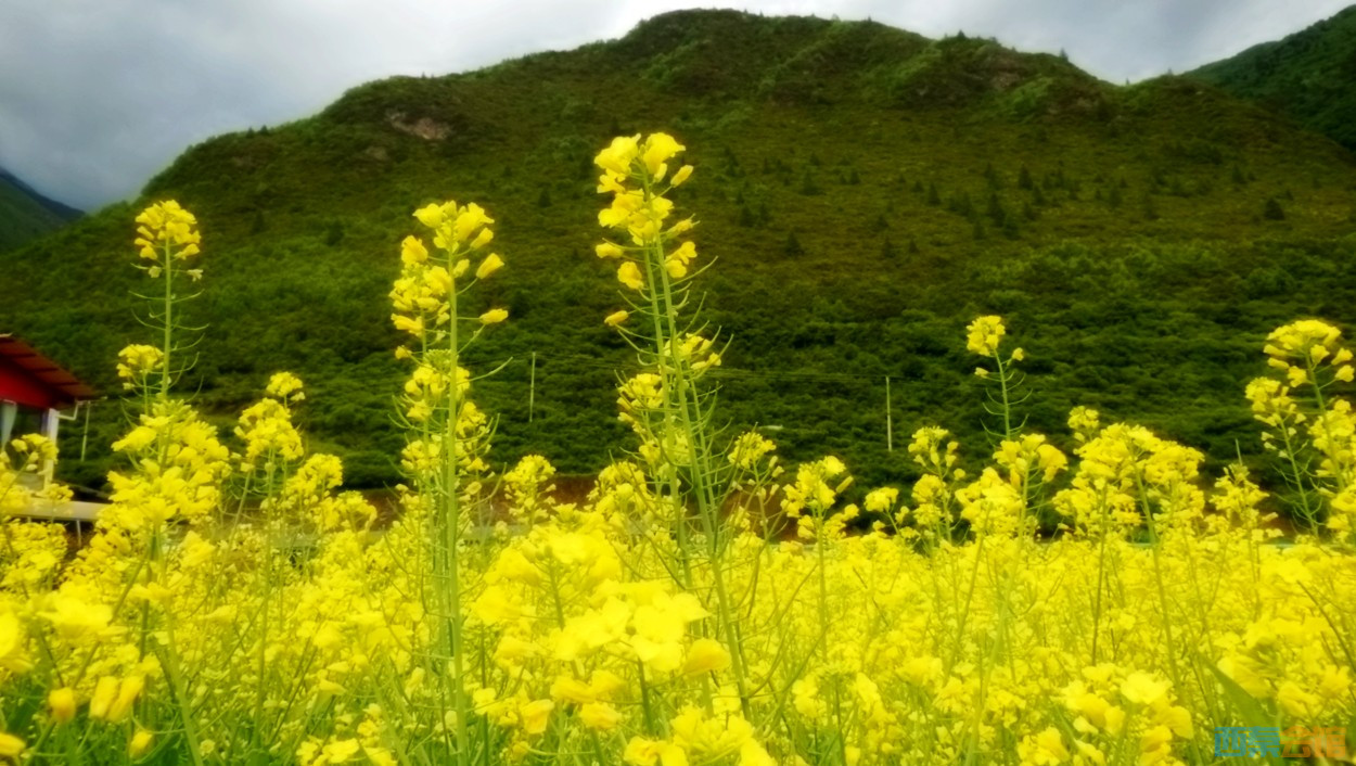 conew_dscn1046.jpg