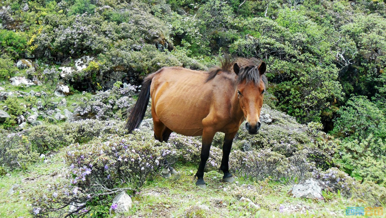 conew_dscn1272.jpg