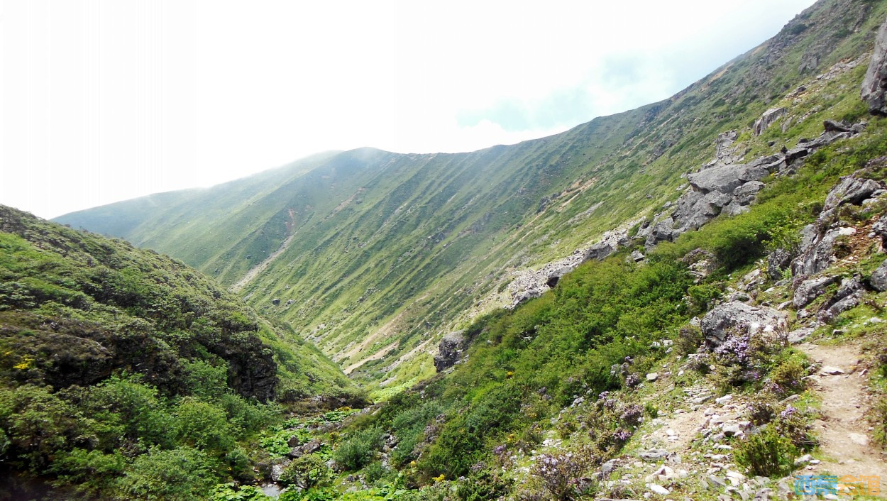 conew_dscn1276.jpg