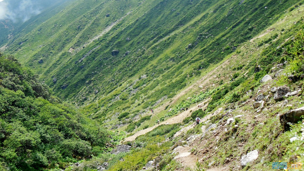 conew_dscn1278.jpg