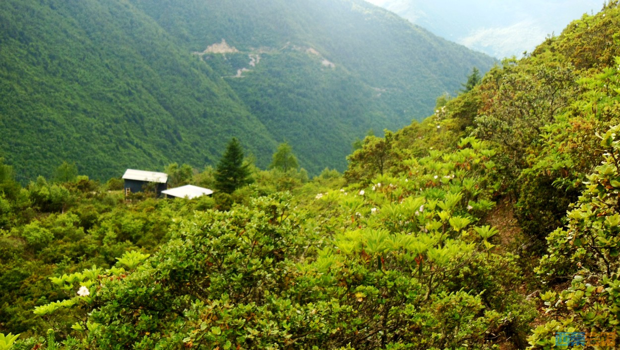 conew_dscn1319.jpg