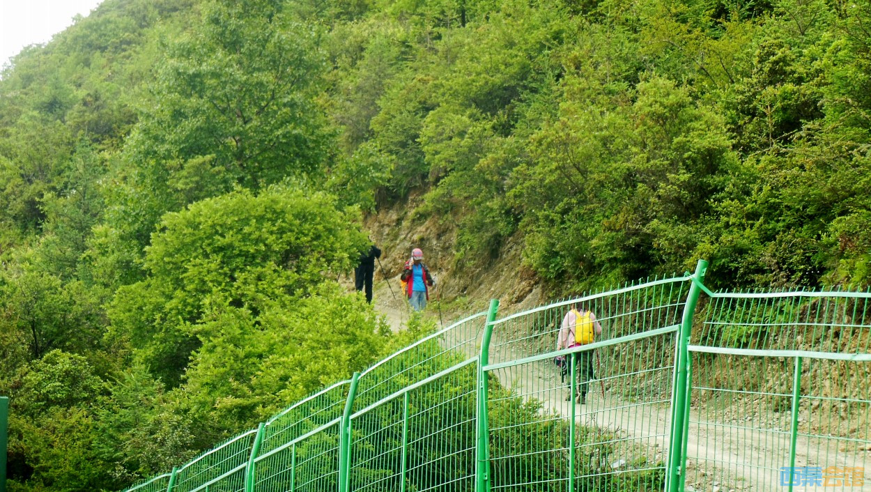 conew_dscn1321.jpg