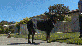 222136lwdp9sui2jzbwnzy.gif