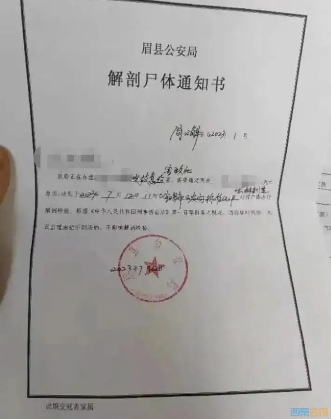 96.jpg