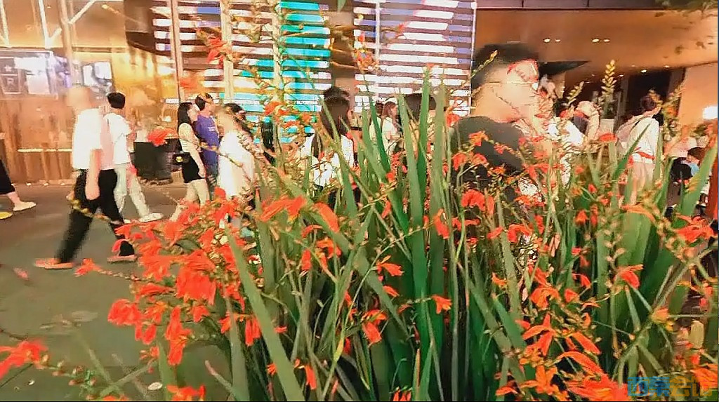 conew_qqͼ20230716220717.jpg