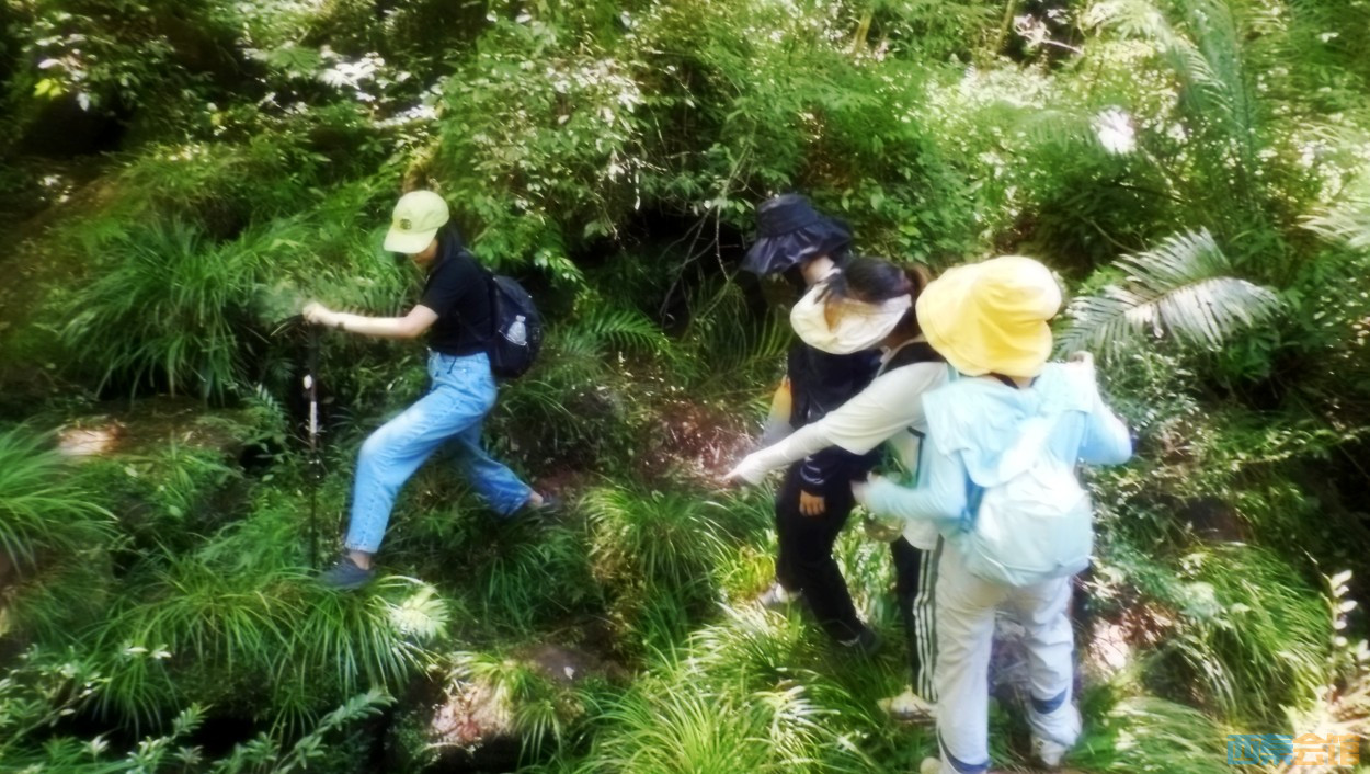 conew_dscn0103.jpg