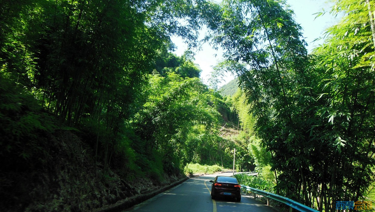 conew_dscn0022.jpg