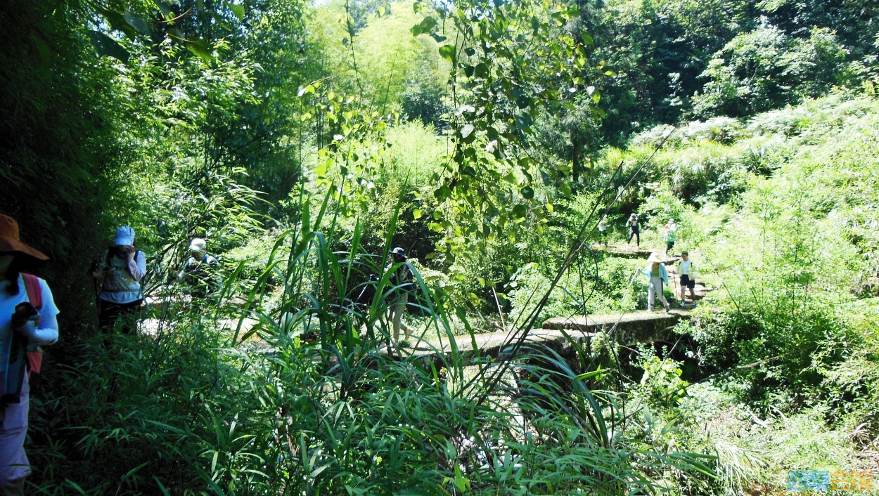 conew_dscn0039.jpg
