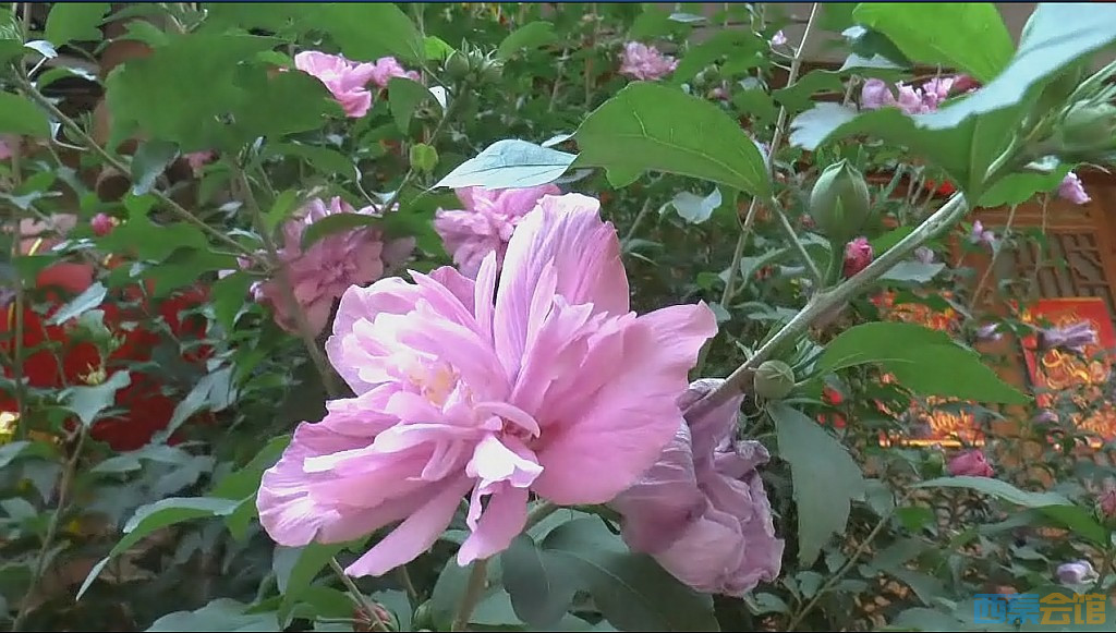 conew_qq��ͼ20230721200359.jpg
