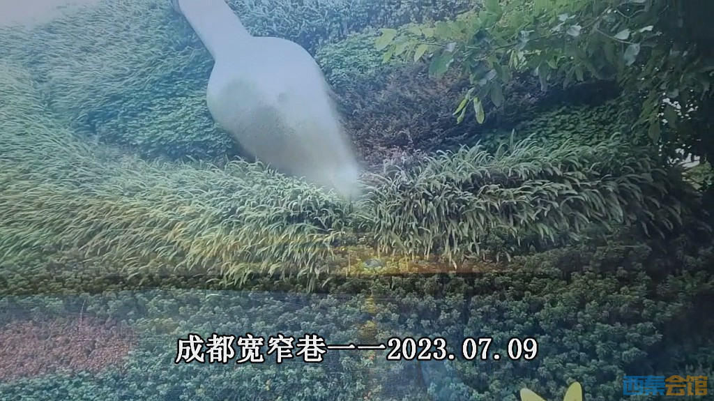 conew_qqͼ20230722081531.jpg
