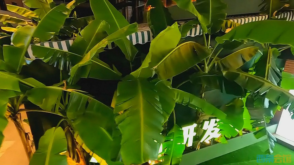 conew_qqͼ20230724130649.jpg