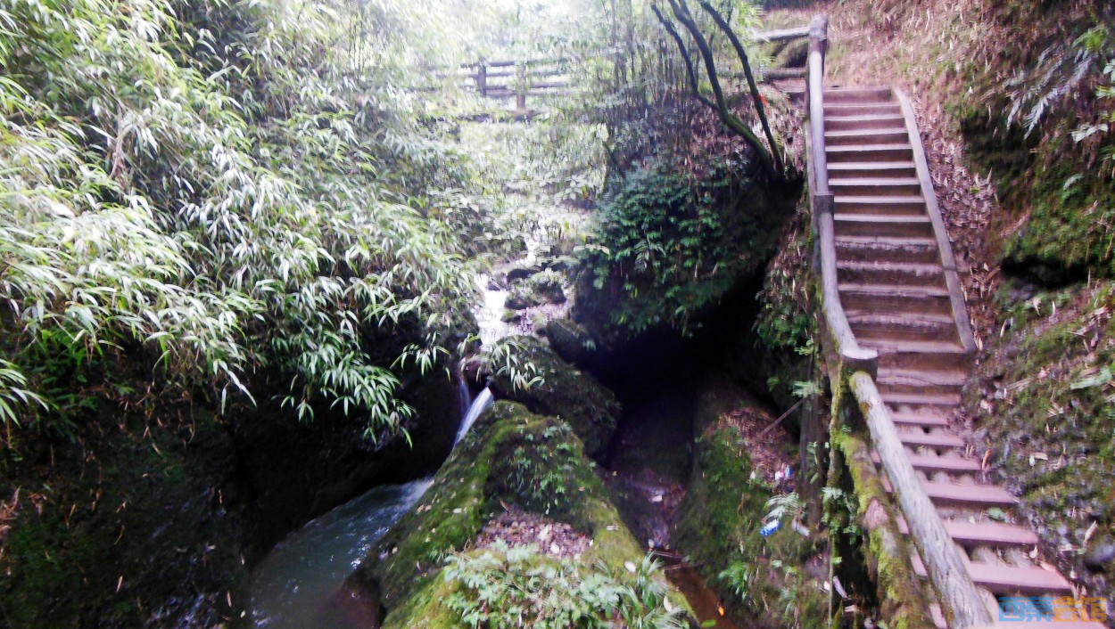conew_dscn9973.jpg