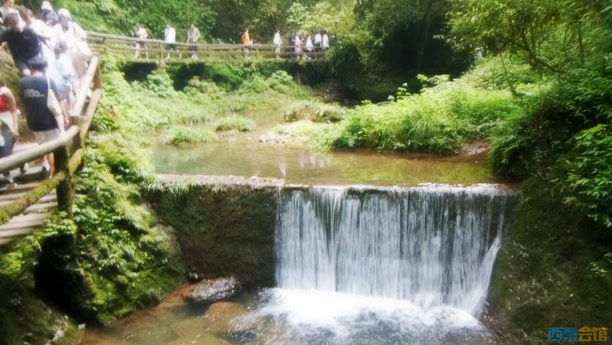 conew_dscn9984.jpg