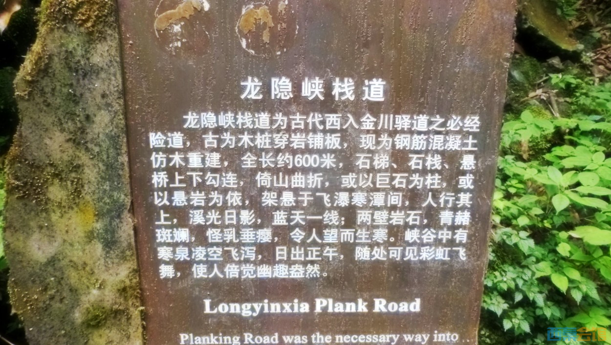 conew_dscn0014.jpg