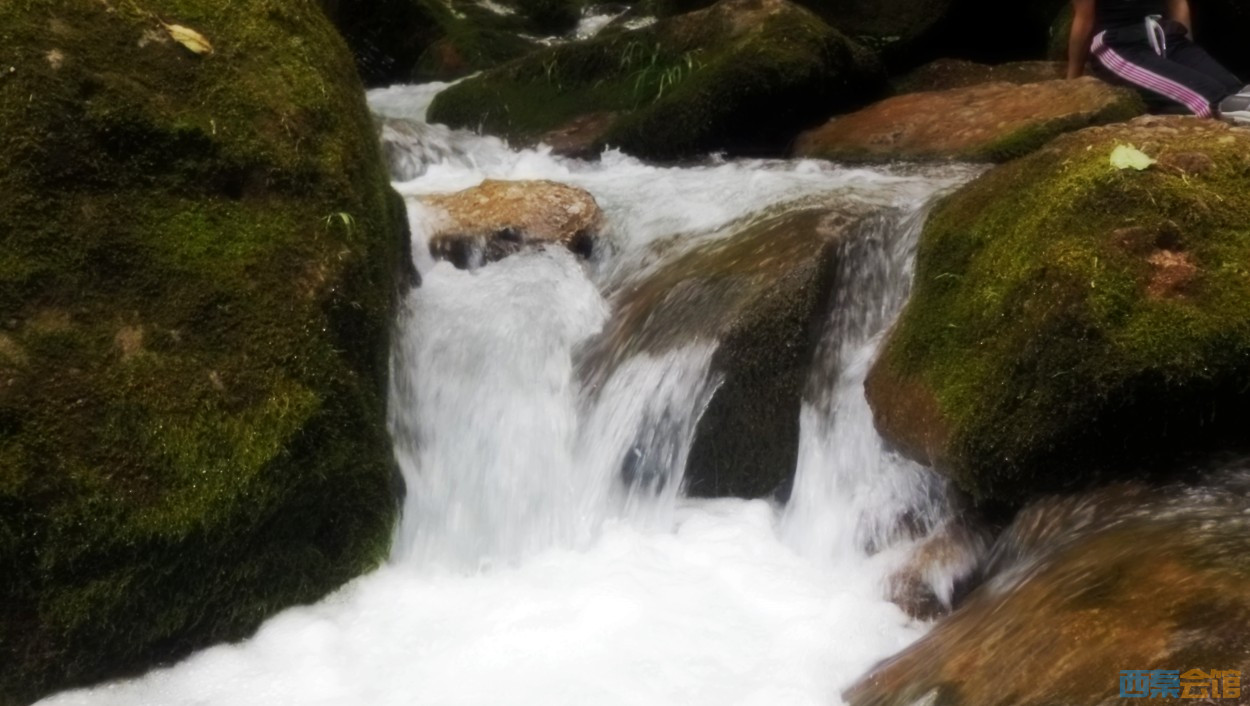 conew_dscn0032.jpg