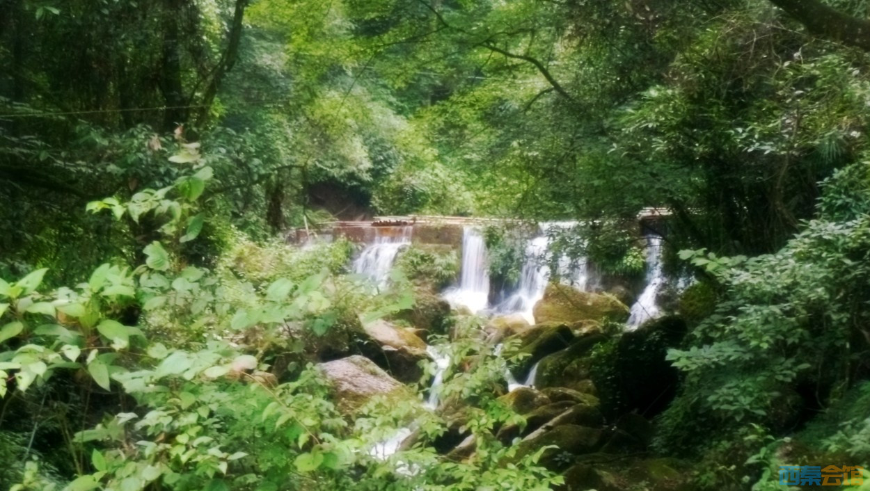 conew_dscn0045.jpg