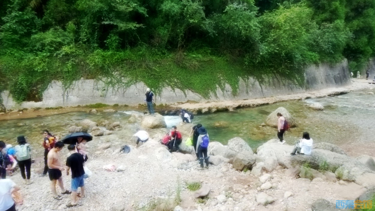conew_dscn0049.jpg
