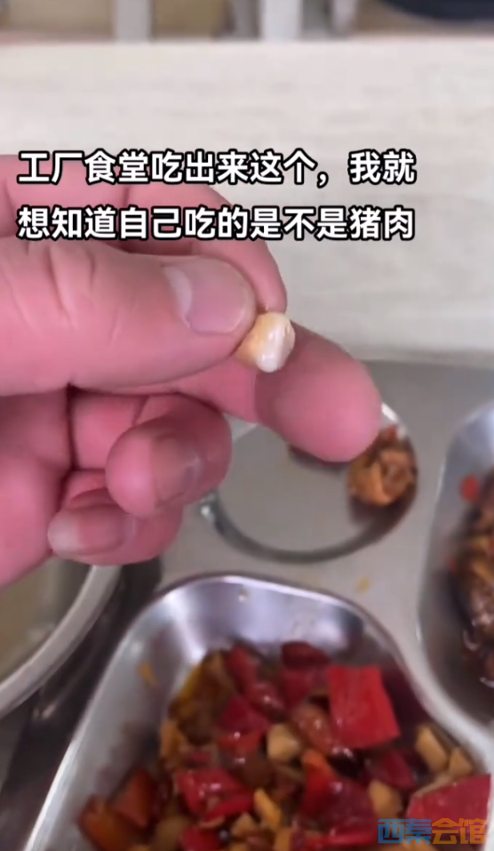 97.png