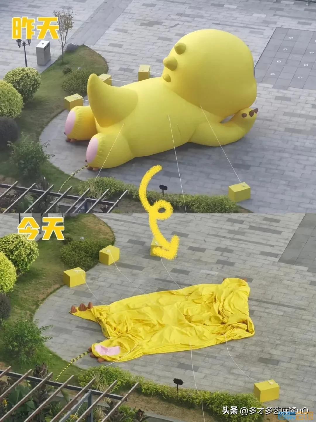 101.jpg