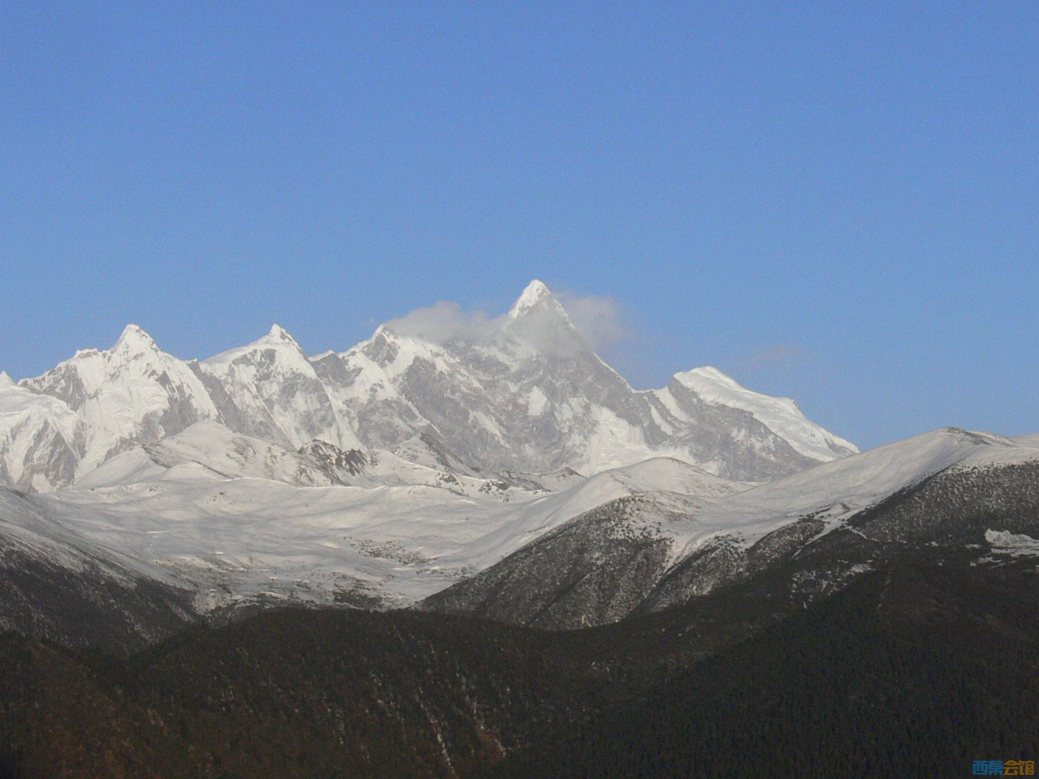 P1120943.jpg