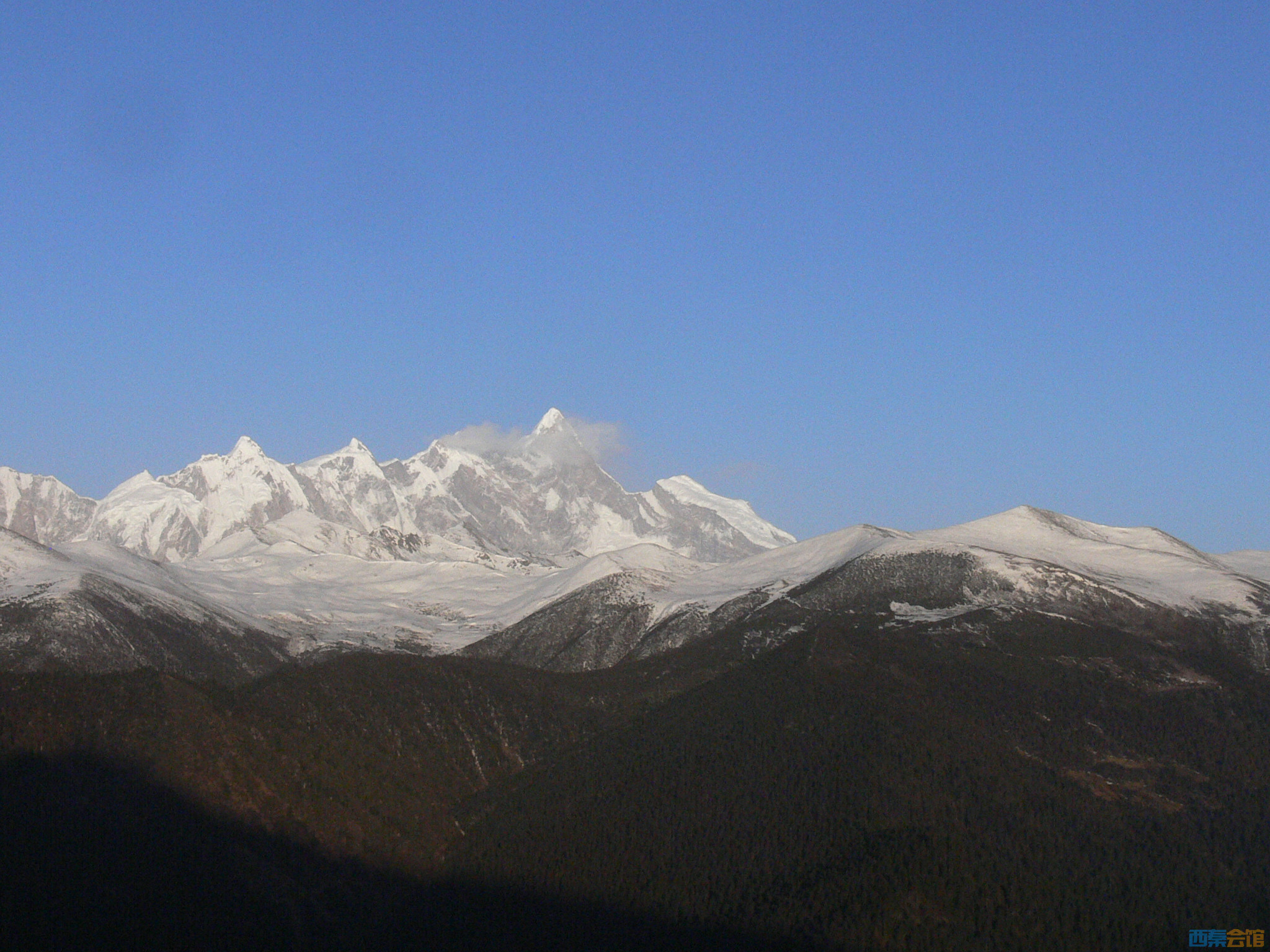 P1120944.jpg