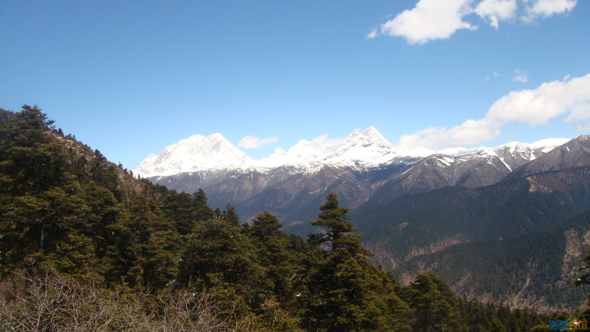 DSC01032.JPG