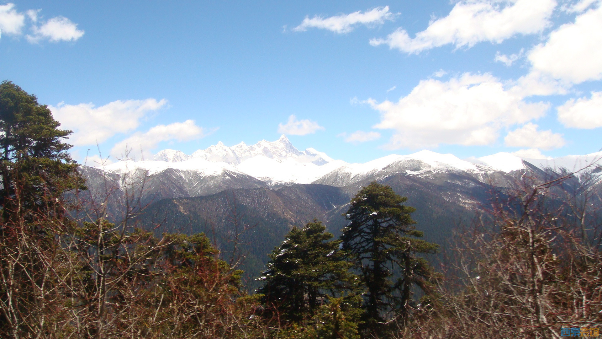 DSC01033.JPG